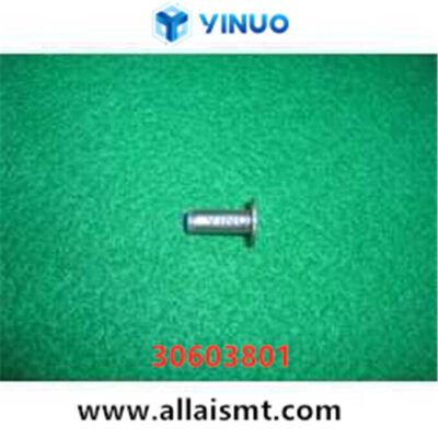 30603801 PIN