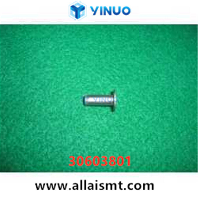 30603801 PIN